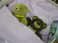 Teddybären im Bett