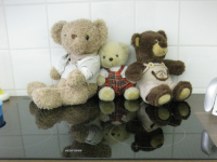 Teddybären in Küche