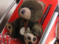 Teddybär im Puppenwagen